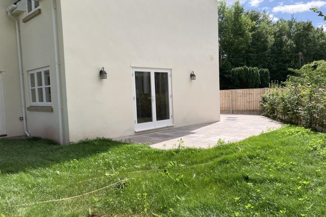 Garden 4.Jpg