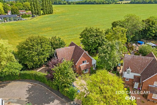 Thumbnail Detached house for sale in Meadowside, 1 Windsor Close, Lawshall, Bury St. Edmunds