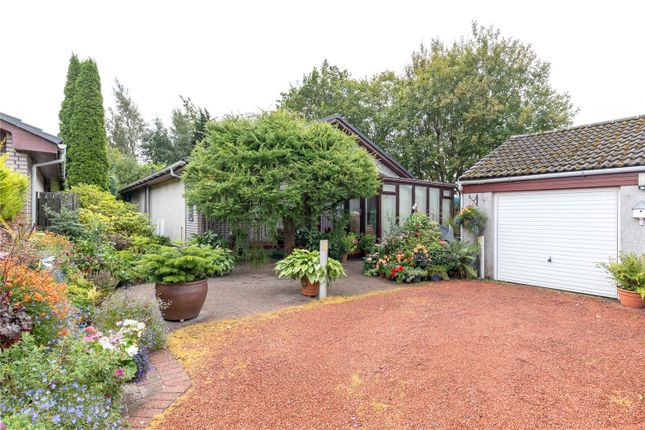 Bathgate Bungalows For Sale Buy Houses In Bathgate Primelocation