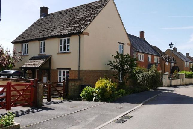 Thumbnail Detached house to rent in Lampreys Lane, South Petherton