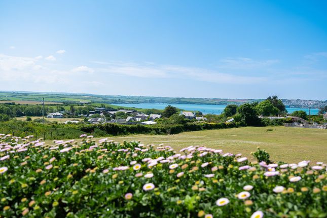 Cockmoyle