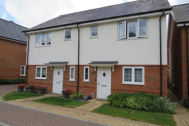 Thumbnail Semi-detached house to rent in Carter Drive, Broadbridge Heath, Horsham