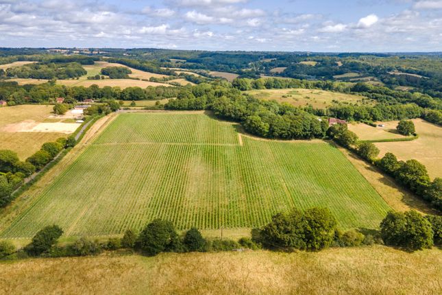 Thumbnail Land for sale in Sheepstreet Lane, Etchingham, East Sussex