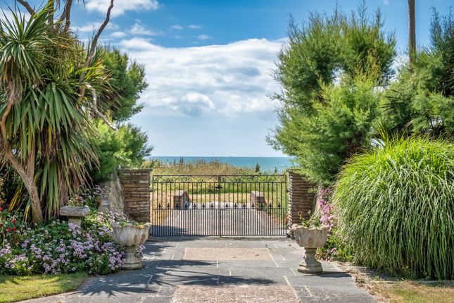 Blue Anchor,, East Strand, Chichester photo 4