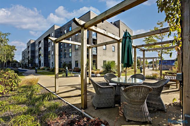 Communal Gardens