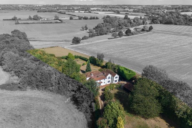 Mill House, Little Bardfield, Essex photo 3
