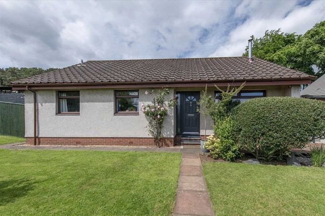 Thumbnail Detached bungalow for sale in The Firs, Dalgety Bay, Dunfermline