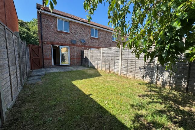 38, Southampton photo 2
