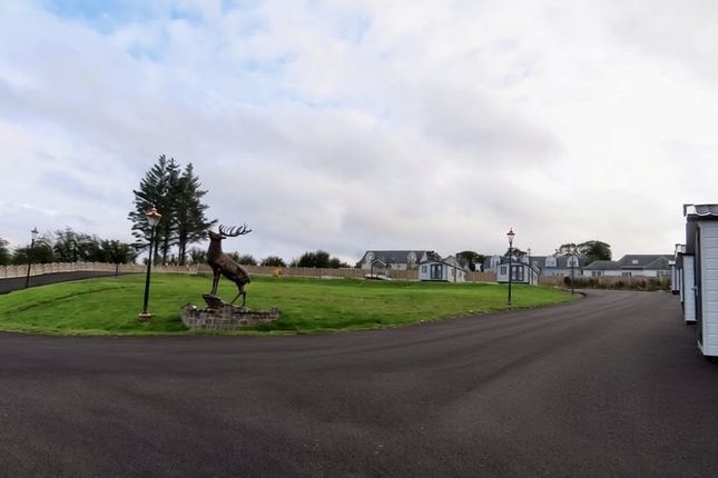 3, Stag View, Caprington, Kilmarnock photo 4