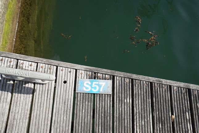 Cadgwith Place, Portsmouth photo 5