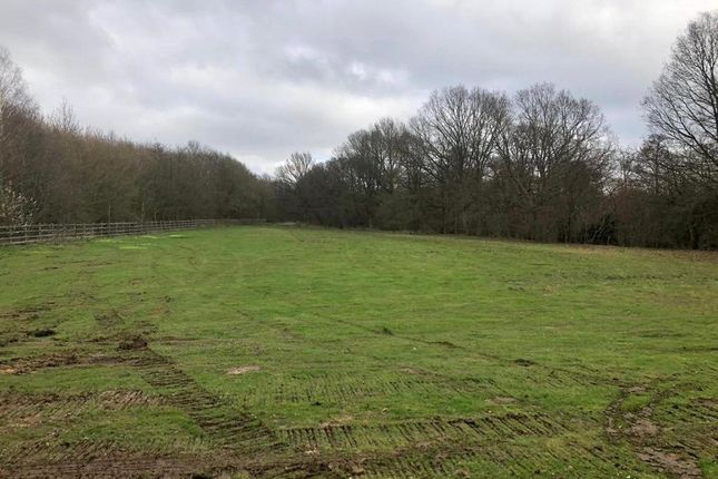 Thumbnail Land for sale in Land To The East, Chegworth Lane, Harrietsham