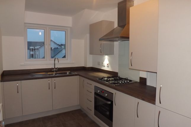 16, Rotherham photo 3