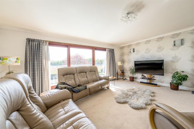 Parkdale, Croft Park, Kelso photo 4