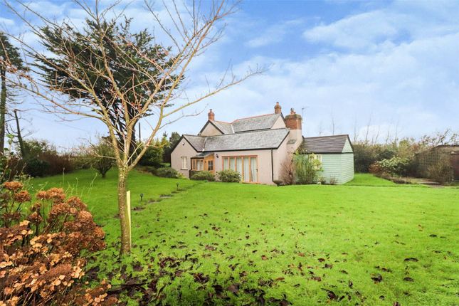 Thumbnail Detached house for sale in Bradworthy, Holsworthy
