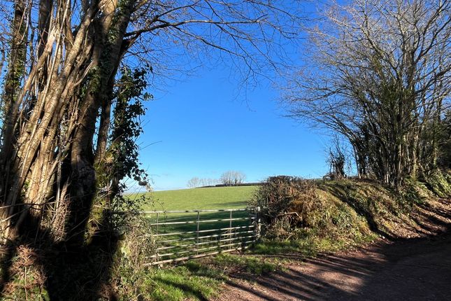 Land for sale in Harberton, Totnes, Devon