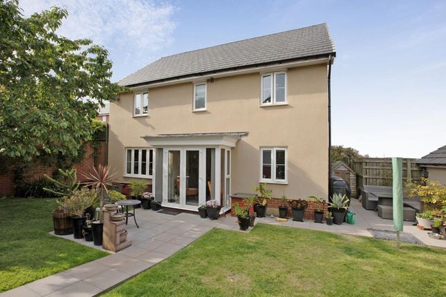 5 Clover Drive, Dawlish photo 4