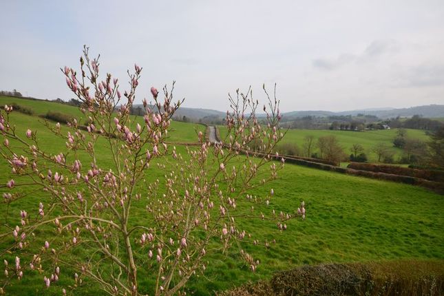 Detached house for sale in Sunnyside, Great Tree, Chagford