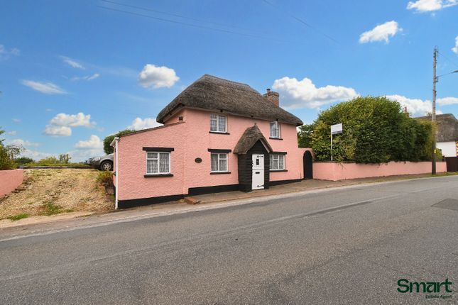 Rose Cottage, Exeter photo 2