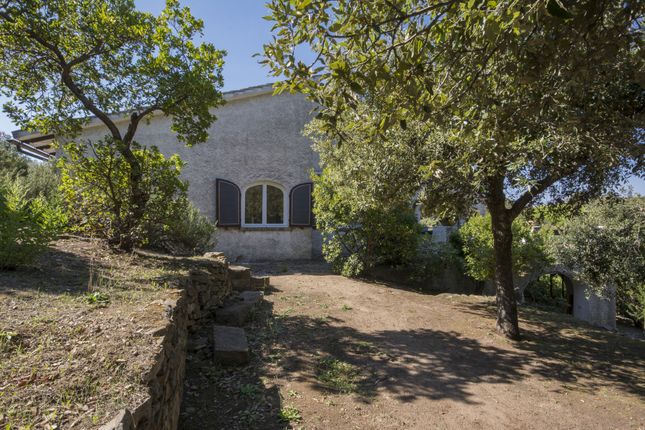 Villa for sale in Via Poggio Al Barbiere, Castiglione Della Pescaia, Toscana