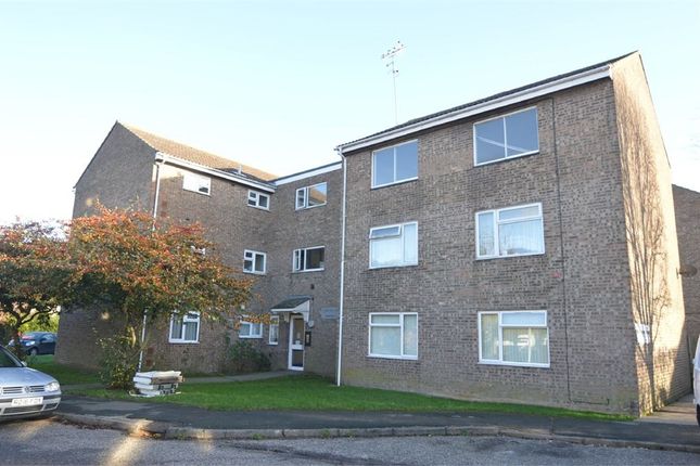 Thumbnail Flat to rent in Colne Court, Braintree