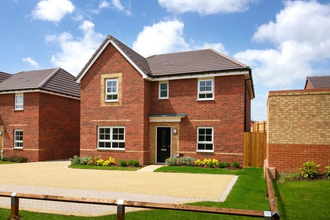 Detached house for sale in "Lamberton Special" at Prospero Drive, Wellingborough