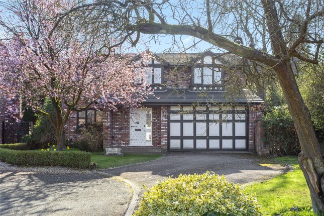 Thumbnail Detached house to rent in Ashcroft Close, Wilmslow, Cheshire