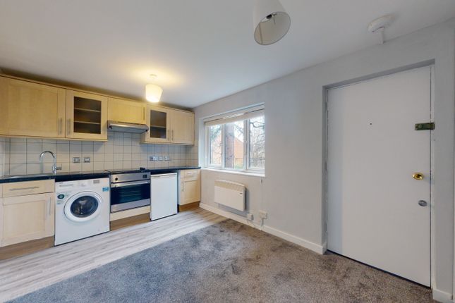 Living Room /Kitchen