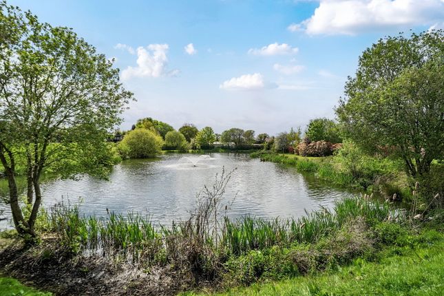 Hurworth Springs Country Park ,64, Neasham Road, Darlington photo 3