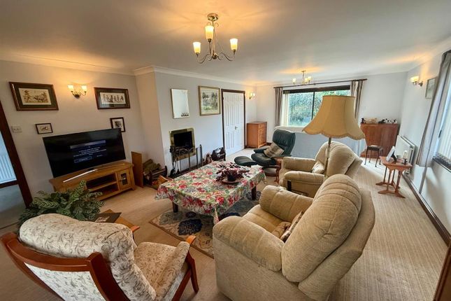 The Coign, Hereford photo 4