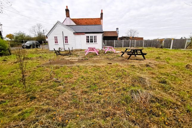 Raj Garden, The Green, Witham photo 4
