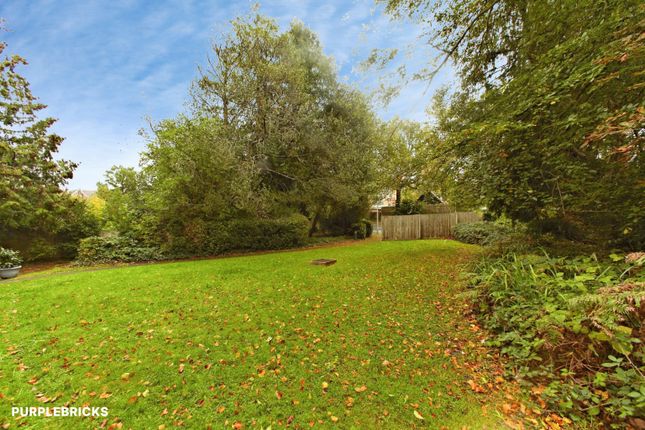 53 Shortlands Road, Bromley photo 4