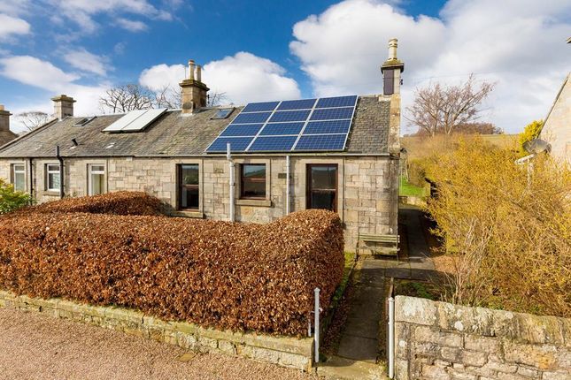 Thumbnail Cottage for sale in Leven