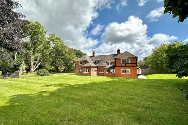 Thumbnail Detached house for sale in Ivy Lane, Ringwood, Hants