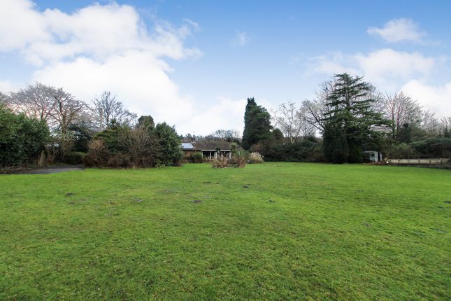 Detached bungalow for sale in Stone Quarry Road, Chelwood Gate, Haywards Heath, West Sussex.