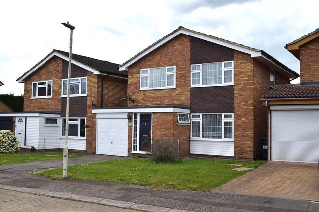 Thumbnail Detached house for sale in Kelvedon Close, Broomfield, Chelmsford