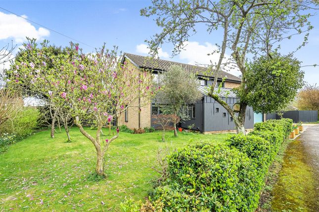 Detached house for sale in Little Shore Lane, Bishops Waltham, Southampton, Hampshire