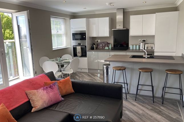 Kitchen / Living Area