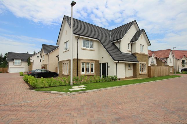Homes For Sale In Falkirk Buy Property In Falkirk Primelocation