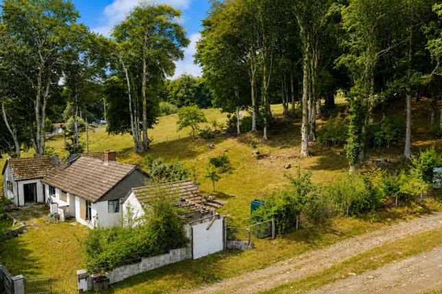 Godre'r Coed, Lampeter, Lampeter photo 4