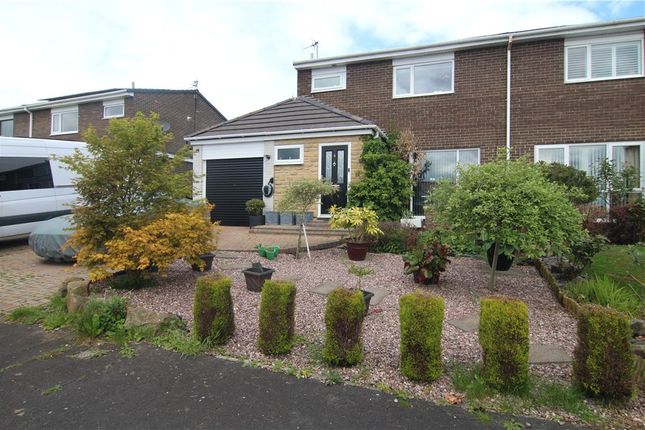 Thumbnail Semi-detached house for sale in Norburn Park, Witton Gilbert, Durham