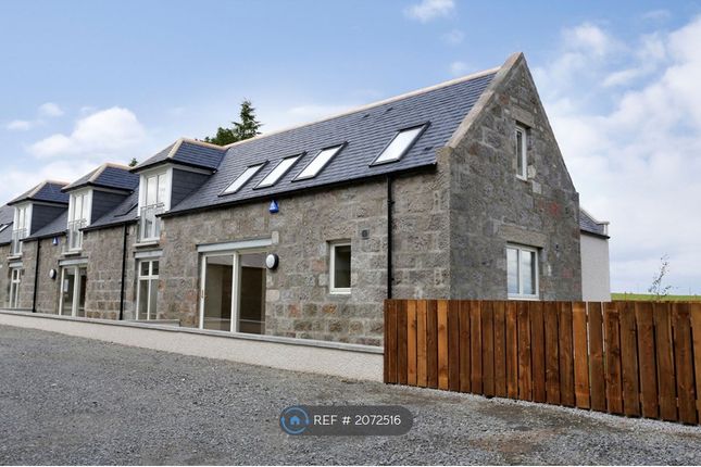 Thumbnail Semi-detached house to rent in Newpark Steading, Aberdeen