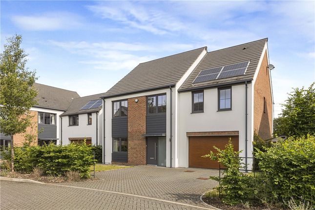 Thumbnail Detached house to rent in Maple Gardens, Milton, Abingdon, Oxfordshire