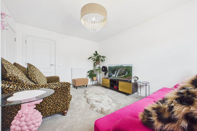 16, Lampmaker Drive, Hamilton photo 4