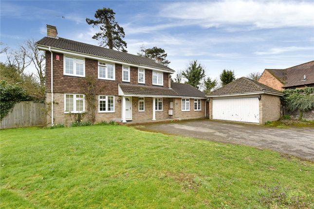 Thumbnail Detached house to rent in The Binghams, Maidenhead, Berkshire