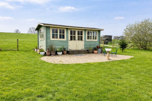 BEAU PADDOCK, EASTON, WELLS photo 2