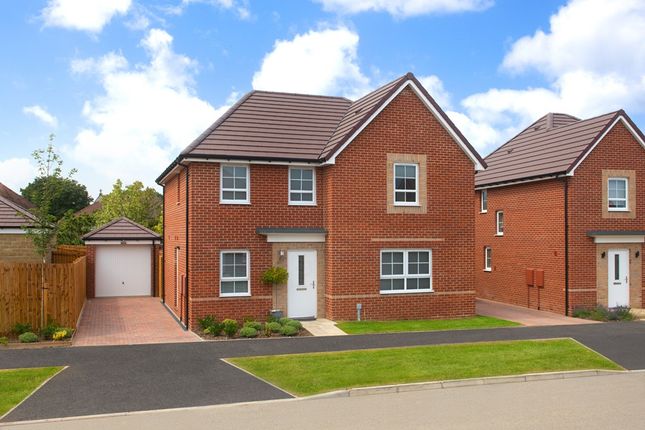 Thumbnail Detached house for sale in "Radleigh Special" at Park Farm Way, Wellingborough