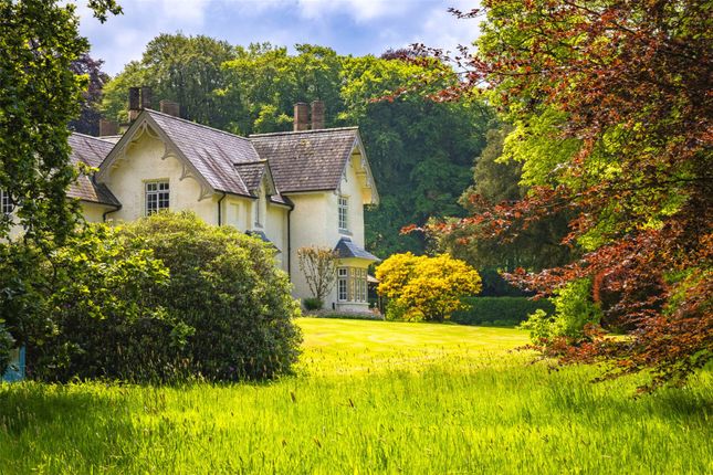 Views Of House