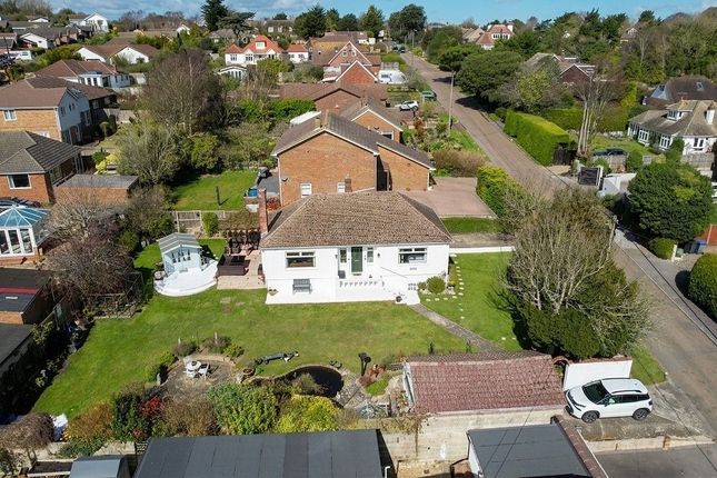 Yeji, Kingsdown Hill, Deal photo 3