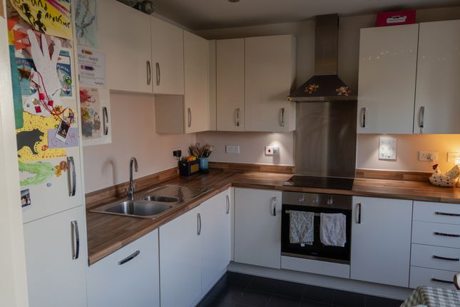 19 Halden Field, Cranbrook photo 4