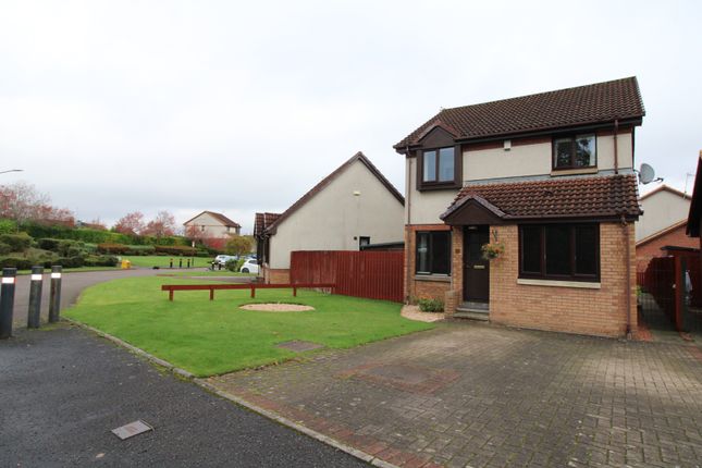 Thumbnail Detached house to rent in Eastcroft Drive, Polmont
